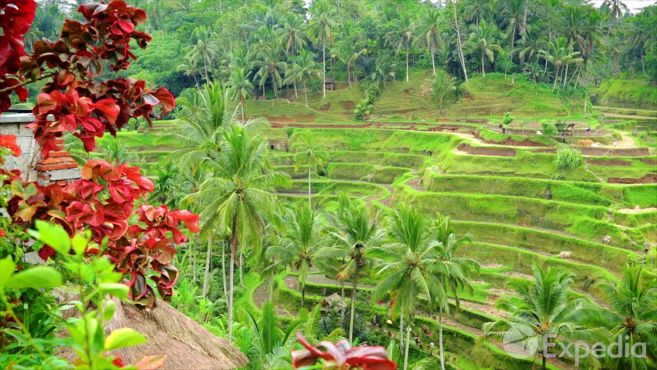 Bali Vacation Travel Guide | Expedia
